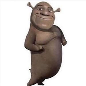 Meet your Posher, Cody